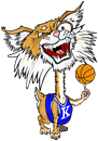 Kentucky Wildcats
